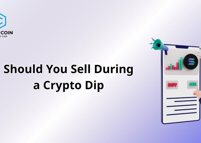 Should You Sell During a Crypto Dip? Experts Weigh In
