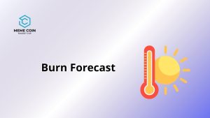 Pepe Coin Burn Rate